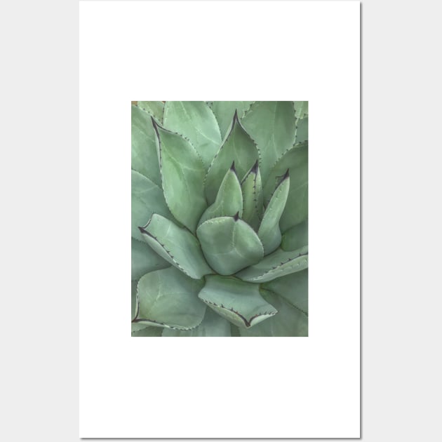 Succulent Photo Wall Art by Rosemogo